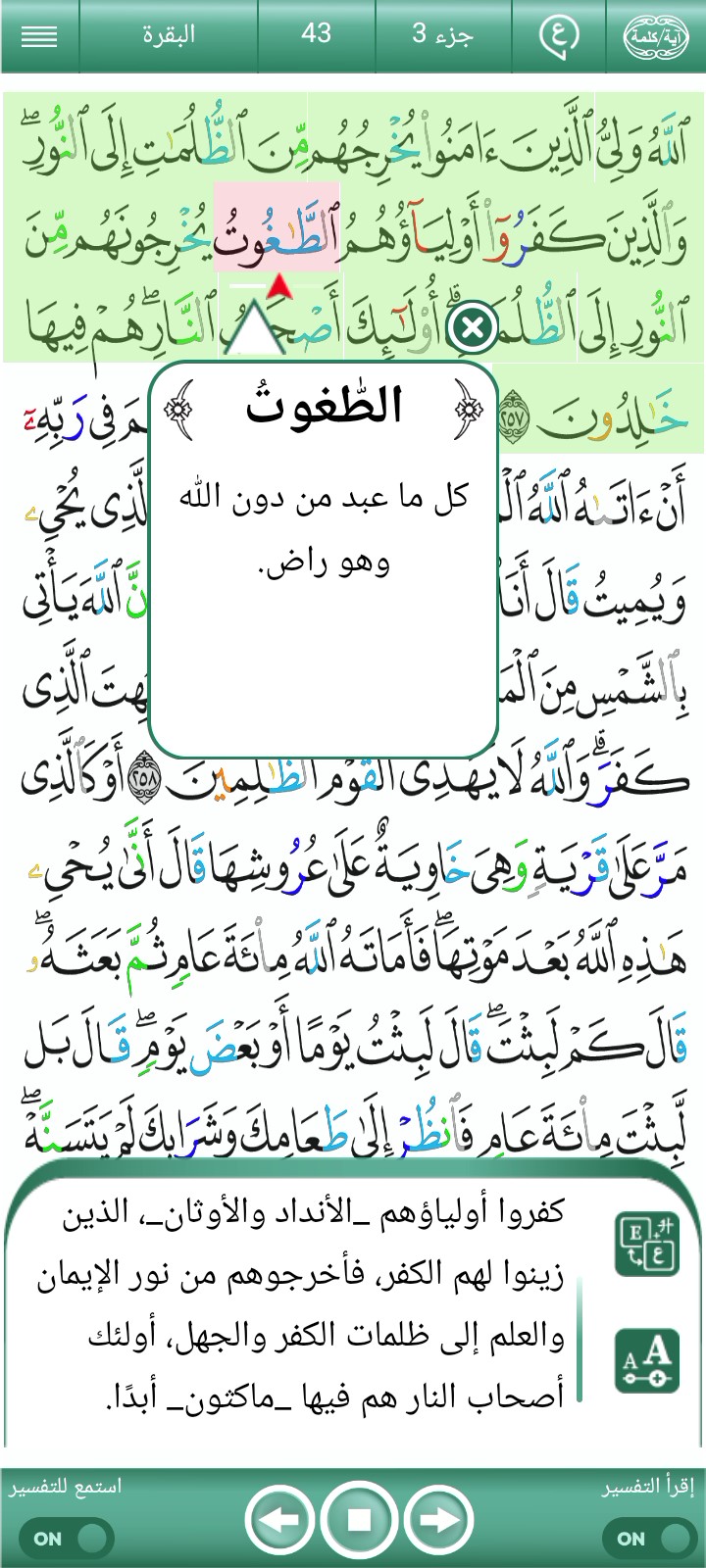 غلاف الفيديو