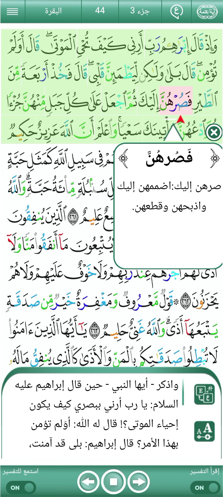 غلاف الفيديو