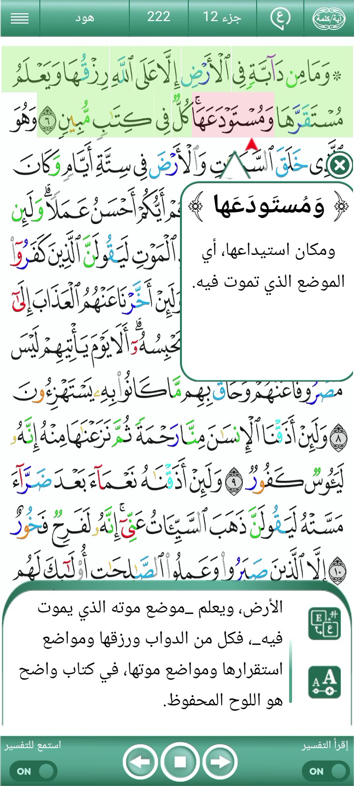 غلاف الفيديو